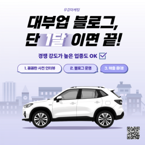 우강마케팅 블로그/카페/지식인 차량 담보대출 / 대부업 블로그 운영 사례